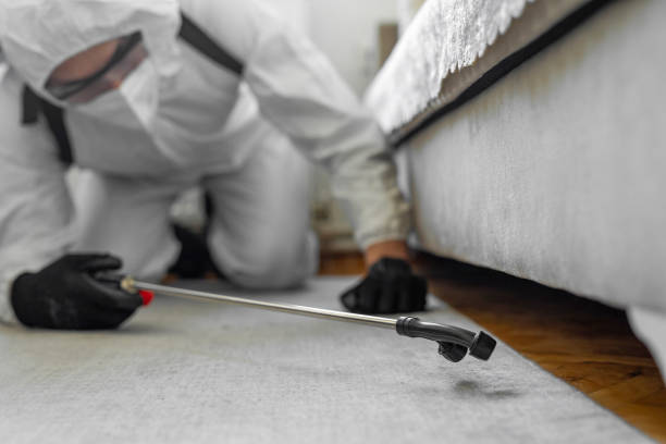 Professional Termite Control technician working in Metropolis, IL