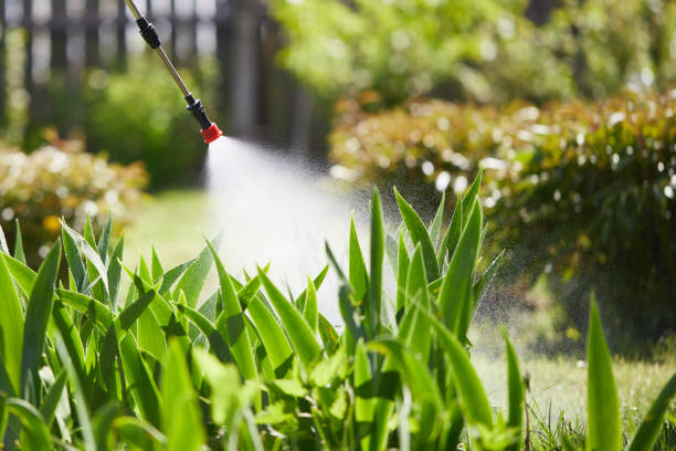 24/7 Emergency Termite Control experts in Metropolis, IL
