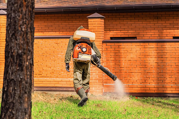 Top rated local Termite Control specialists in Metropolis, IL